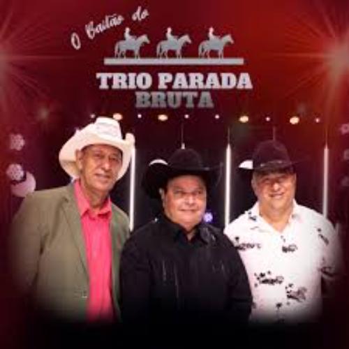 Trio Parada Bruta